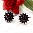Bohemian garnet star earrings/-boutons