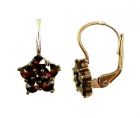 Garnet Earrings