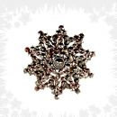 Bohemian garnet star brooch 50039 ??